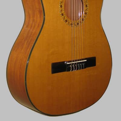Giannini Classical Guitar All Solid Wood Made in Brazil w/Giannini Gig Bag image 4
