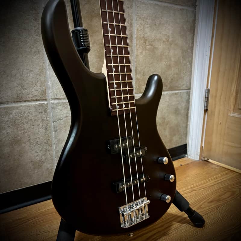 Cort Action PJ Open Pore Walnut: Premium Guitar without Breaking the Bank