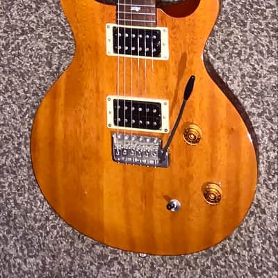 PRS SE Santana Standard Tortoise Shell electric guitar image 1