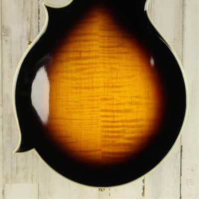 DEMO Gold Tone Mastertone GM-70+ - Tobacco Sunburst (106) image 4