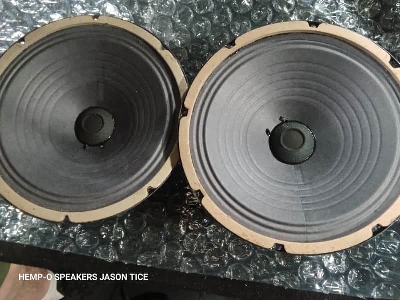 JENSEN P10 ALNICO GUITAR SPEAKER 2 AVAILABLE REBUILT AT PMR IN OHIO AMERICAN COMPONENTS image 1
