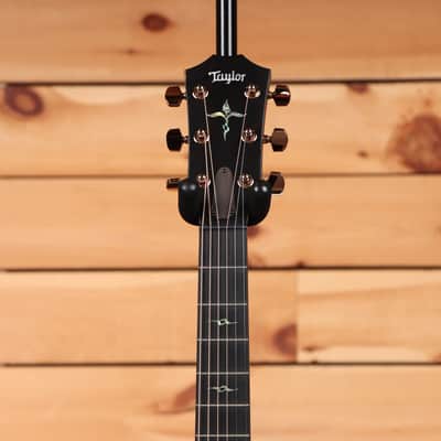 Taylor Next Generation K24ce Special Edition - Shaded Edgeburst - 1204216034 - PLEK'd image 5