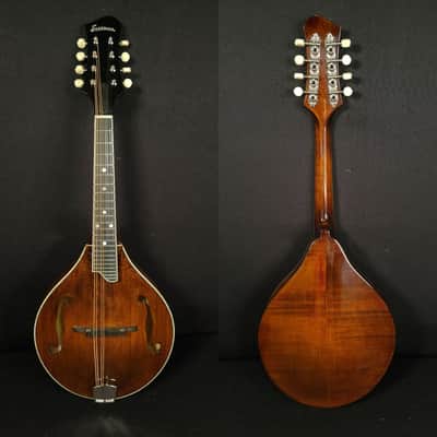 Eastman MD505 Mandolin A Style Classic Finish w/ Case image 2