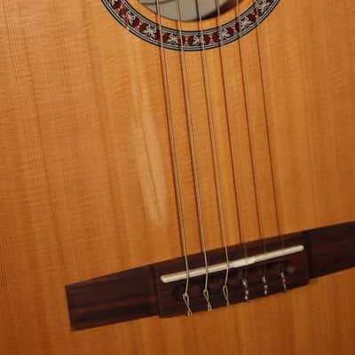 Godin Model # 049691 Etude Nylon String Classical Acoustic Guitar image 11