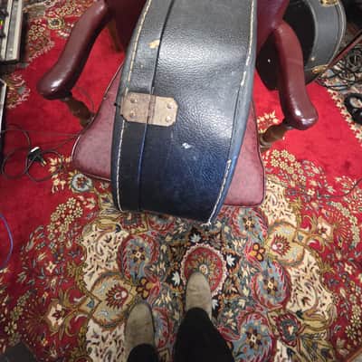 Epiphone EB 2 Rivoli Bass Case 1960s image 12