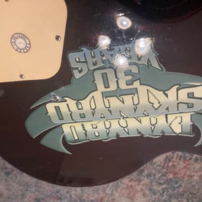 Epiphone LYNYRD SKYNYRD Les Paul 30 Year Anniversary 2003 - Gold image 14