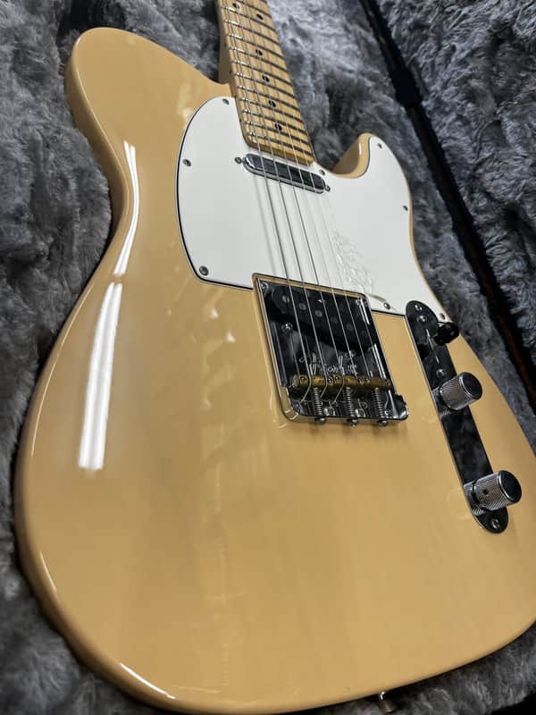 Fender Limited Edition American Professional Light Ash | Reverb