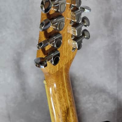 MSA CW 1300 – 12-String Acoustic-Electric Guitar | Perfect for Beginners image 6