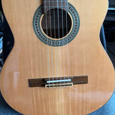 Alvarez Artist Series AC65CE 2020s - Natural image 7