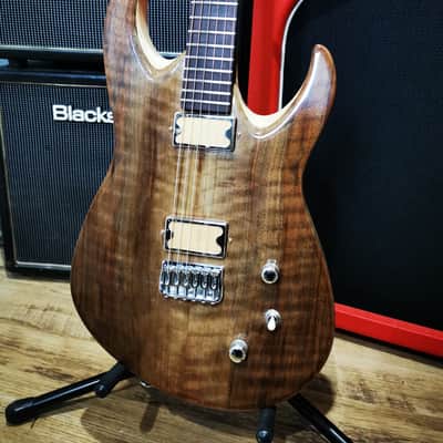 LT Custom Pioneer Superstrat - Special Edition image 2