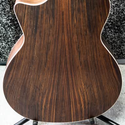 Eastman PCH2-GACE - Natural image 7