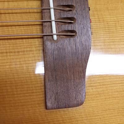 Applause AA-31 Acoustic Guitar image 5