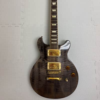 Gibson Les Paul Standard Double Cutaway Plus image 1