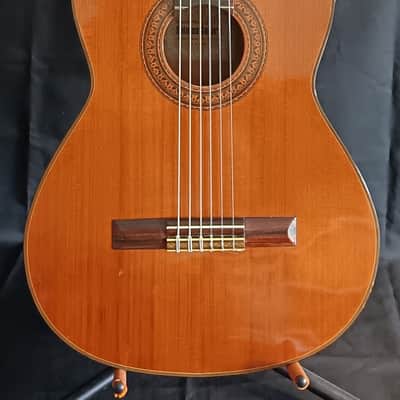 SHINANO acoustic guitars for sale in USA | guitar-list