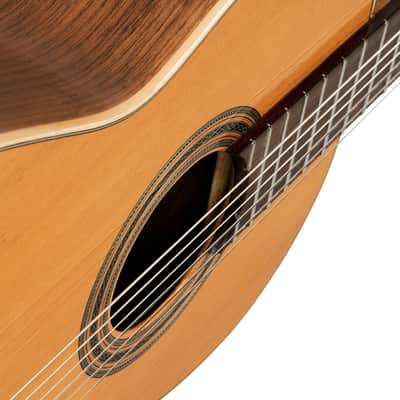 Ortega R20GWN Traditional Series Solid Cedar Top Mahogany Neck Nylon 6-String Classical Acoustic Guitar w/Gig Bag image 12