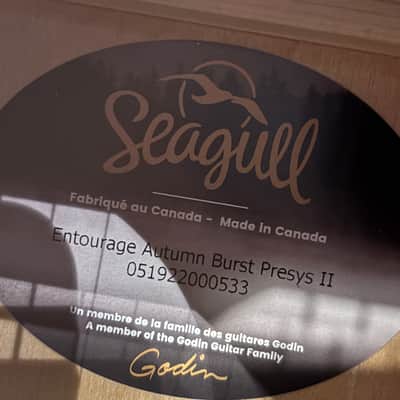 Seagull Acoustic Electric Guitar - Entourage Autumn Burst Presys II - Comes with Gigbag image 6