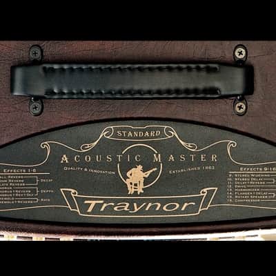 Traynor AM STANDARD 150W Acoustic Combo. New with Full Warranty! image 3