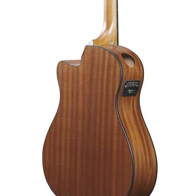 Ibanez AAM54CE-OPN - Acoustic Guitar image 5
