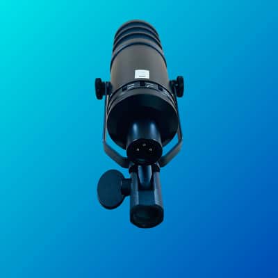Golden Age Project D2 Large Dynamic Microphone image 3