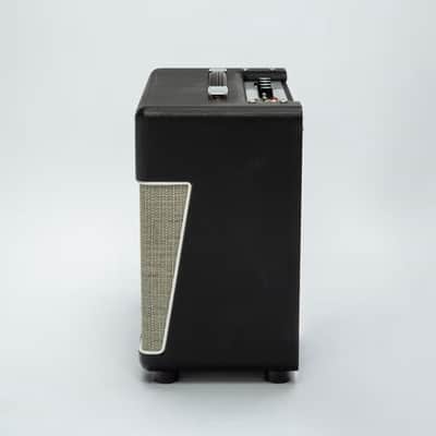 Magnatone Baby M-80 1x10 Combo image 5