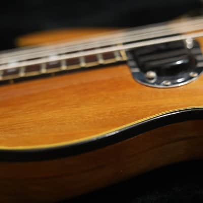 Gibson Les Paul Triumph Bass 1973 Walnut image 10