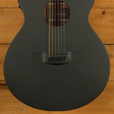 Ibanez AEG1221 AEG Series Electro-Acoustic - Macassar Ebony - Black Out - 12-String image 3
