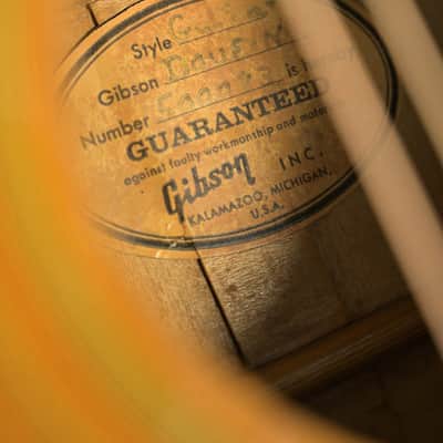 GIBSON Dove N/Natural 1968 [500083] (01/06) image 3