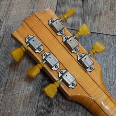 Gibson ES-340 1970 image 8