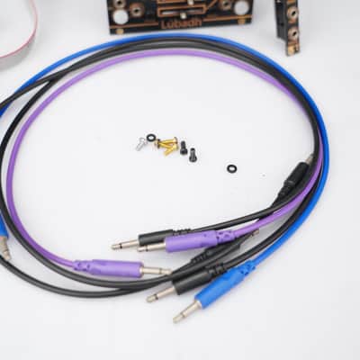 Instruo Lubadh Dual Looper + Expander Eurorack Modules w/ Patch Cables #58943 image 9