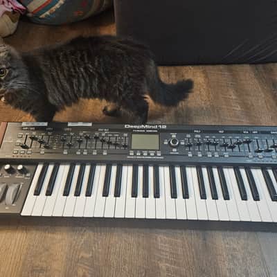 Behringer DeepMind 12