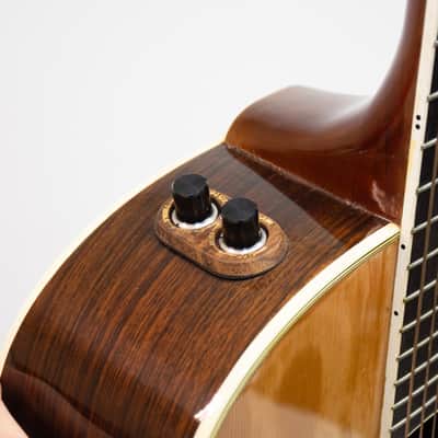 Washburn Tanglewood - Natural Rose Wood image 7