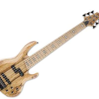 ESP LTD RB-1006SM