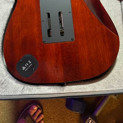 Ibanez JEM77WDP-CNL Steve Vai Signature Woody with Panga Panga Fretboard 2018 - Charcoal Brown Low Gloss image 20