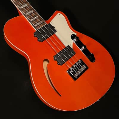 Reverend Dub King image 3