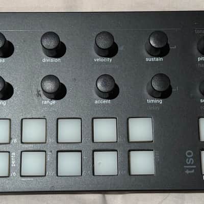 Torso Electronics T-1 2023 image 1
