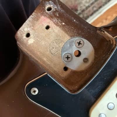 Fender Stratocaster 1974 Walnut mocha image 8