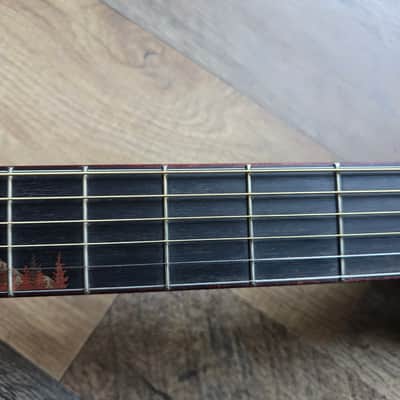 Breedlove Custom Shop "Trip Cascade" Concertina image 13