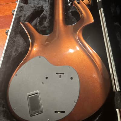 ギター Parker Fly Deluxe USA2004 DiMarzio/Piezo Parker Fly Deluxe