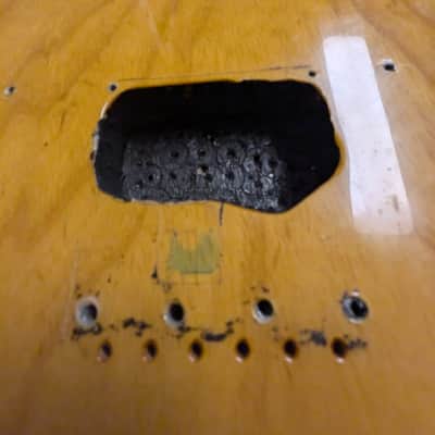 Warmoth Telecaster Body - Transparent Blonde image 5
