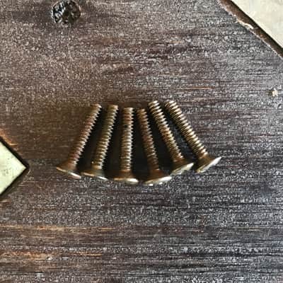 Real Life Relics Fender® Replacement Aged Nickel Single Coil Pickup Screws (Set of 6)   [AC4] image 2