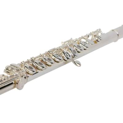 Pearl *Pre-Order* Flute Quantz 665 Series Offset-G/B-Foot/Open Hole Maintenance Kit, Case | WorldShip | Special Order | Authorized Dealer image 5