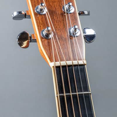 Gallagher G-70 1971, Natural image 8