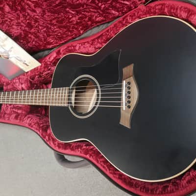 Taylor GTe Blacktop 2022 - Blacktop Walnut back DEMO image 5