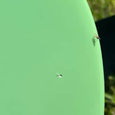 Video! Fender Partscaster Strat 2004 - Surf Green image 19