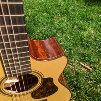 2019 The Tree Sexauer FT-000-C German Top Multi-Scale Fanfret Hot Hide Glue Varnish #2870219 image 13
