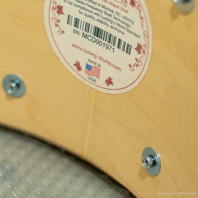 Ludwig LS403 6.5x14 Classic Maple Snare Drum 2017 - Champagne Sparkle image 7