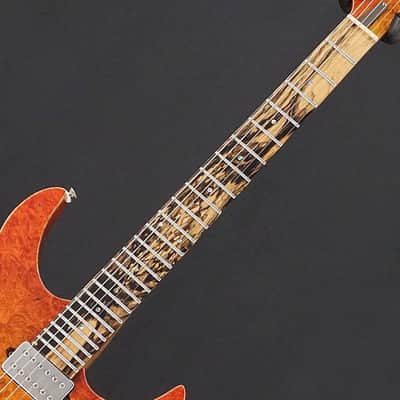 Koca Guitars [Ikeshibu Used Goods Festival Item] USED Light 6 String (Burl Maple Top / Pale Moon Ebony / Birds Eye Maple Neck) Coca Guitars image 5