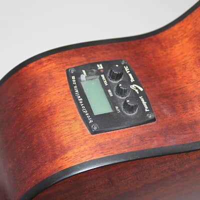 Breedlove Passport C250/CMe Acoustic-Electric Guitar image 8