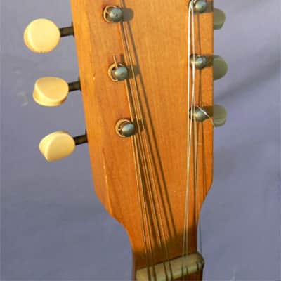 1929 National Triolian Mandolin: Rare First Year Example, Palm Tree Seascape, Exceptionally Fine Original Condition, Natural Reverb! image 9