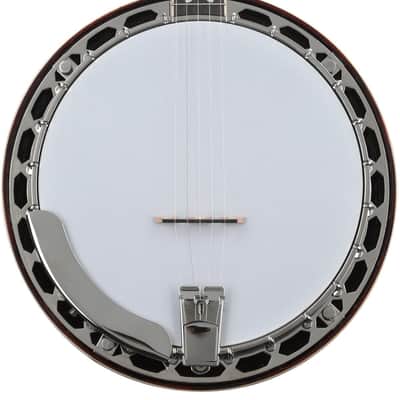 Recording King Songster Resonator Banjo - Dark Brown image 1